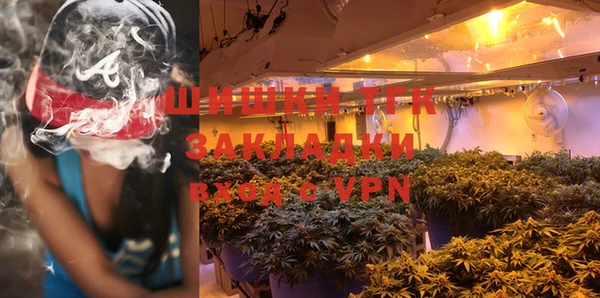 МДПВ Богданович