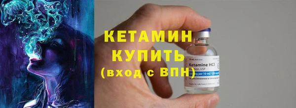 шишки Богородицк