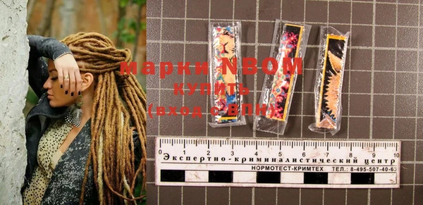 скорость Болотное